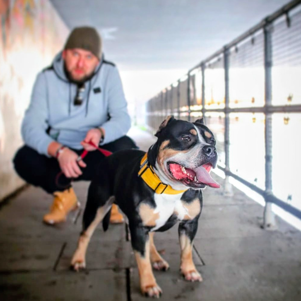 Marcin Wojdyna, author